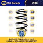 NAPA Coil Spring Rear (NCS1145)