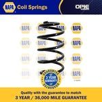 NAPA Coil Spring Rear (NCS1156)