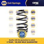 NAPA Coil Spring Rear (NCS1160)