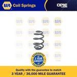 NAPA Coil Spring Rear (NCS1171)