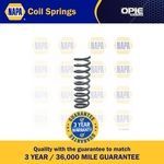 NAPA Coil Spring Rear (NCS1218)
