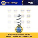 NAPA Coil Spring Rear (NCS1243)