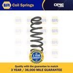 NAPA Coil Spring Front (NCS1598)
