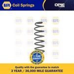 NAPA Coil Spring Rear (NCS1617)