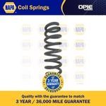 NAPA Coil Spring Rear (NCS1623)