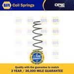 NAPA Coil Spring Rear (NCS1634)