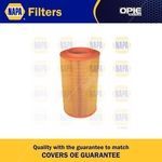 NAPA Air Filter Insert (NFA1139)