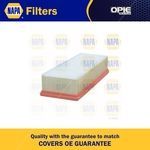 NAPA Air Filter Insert (NFA1166)