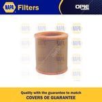 NAPA Air Filter Insert (NFA1320)
