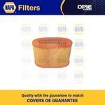NAPA Air Filter Insert (NFA1373)