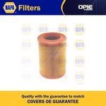 NAPA Air Filter Insert (NFA1395)
