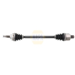 NAPA Driveshaft (NDS1772R) Fits: Renault