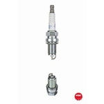 NGK BCPR6EP-N-8 (5275) - Laser Platinum Spark Plug / Sparkplug - Dual Platinum Electrodes