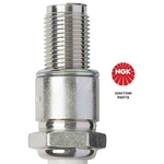 NGK R7420-10 (5501) - Racing Spark Plug / Sparkplug
