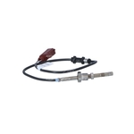 NRF Exhaust Gas Temperature Sensor (707024)