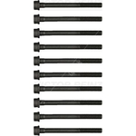 Victor Reinz Cylinder Head Bolt Set (14-32191-01)