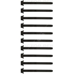 Victor Reinz Cylinder Head Bolt Set (14-32277-01)