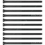 Victor Reinz Cylinder Head Bolt Set (14-32384-01)