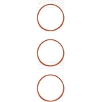 Victor Reinz Intake Manifold Gasket Set (11-11551-01)