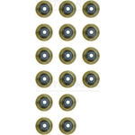 Victor Reinz Valve Stem Seal Set (12-10143-01) Fits: Hyundai & Kia