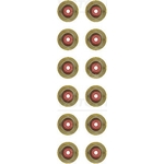 Victor Reinz Valve Stem Seal Set (12-12155-01)