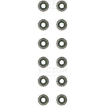 Victor Reinz Valve Stem Seal Set (12-18919-01)