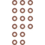 Victor Reinz Valve Stem Seal Set (12-29491-01)