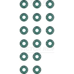 Victor Reinz Valve Stem Seal Set (12-31306-01)