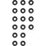 Victor Reinz Valve Stem Seal Set (12-31306-12)