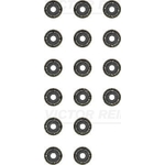 Victor Reinz Valve Stem Seal Set (12-34223-02)