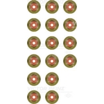 Victor Reinz Valve Stem Seal Set (12-39398-01)